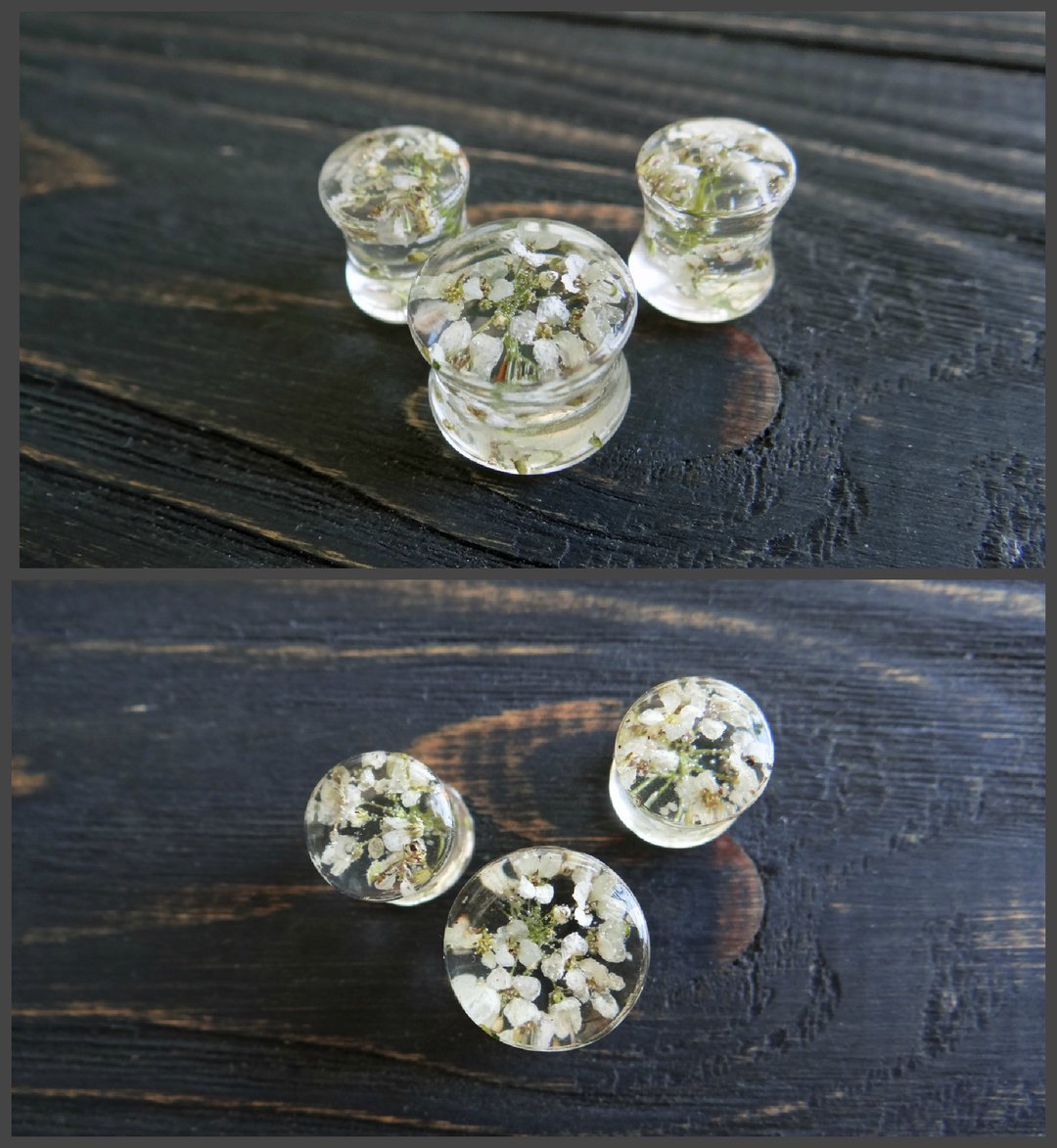 White Real flower plugs earrings 6g 4g 2g ear gauges piercing jewelry Body - 耳环/耳夹 - 植物．花 白色