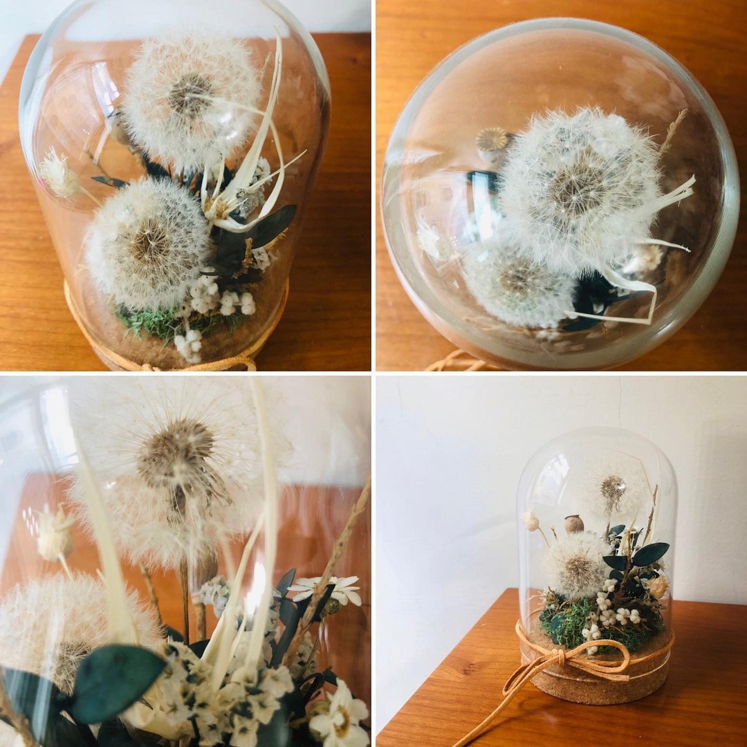 DIY 材料包/蒲公英的约定/ 不凋蒲公英花盅/ 成品订制 - 植栽 - 植物．花 