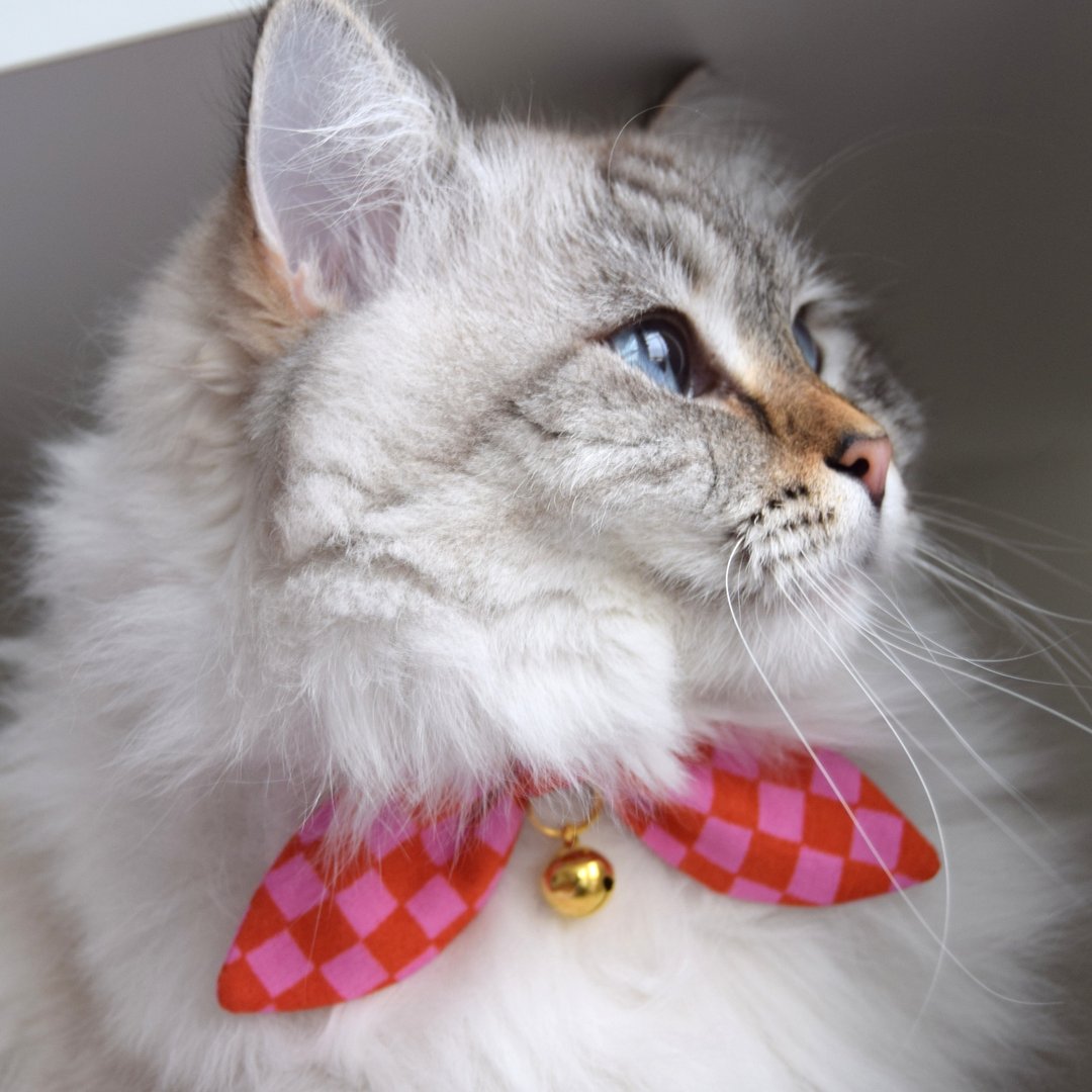 红粉格纹猫项圈附安全扣 - 情人节猫咪蝴蝶结饰品 - 宠物摄影配件 - 项圈/牵绳 - 棉 红色