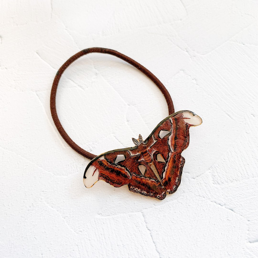 Atlas moth hair ornament - 发饰 - 塑料 咖啡色