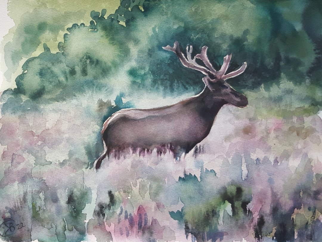 Deer Original Watercolor Painting Morning Forest  Painting Animals - 海报/装饰画/版画 - 纸 多色