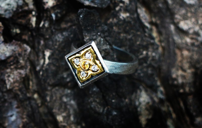 Love princess ring ,unique gifts with meaning - 戒指 - 宝石 金色