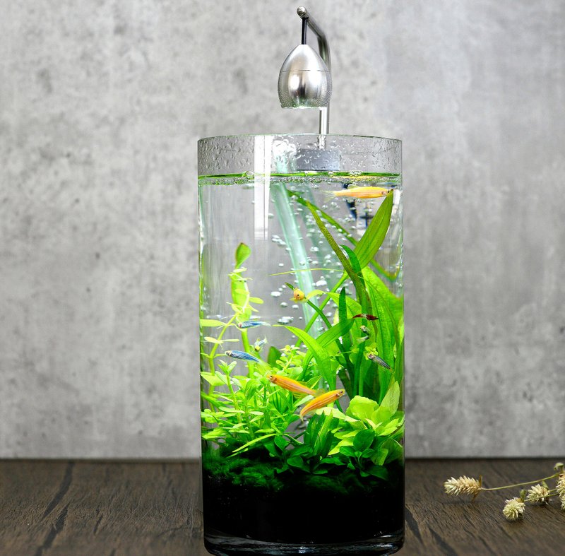 积木印象活水草生态纾压懒人鱼缸【高雅流木造景系列-青青草原】 - 其他 - 玻璃 银色