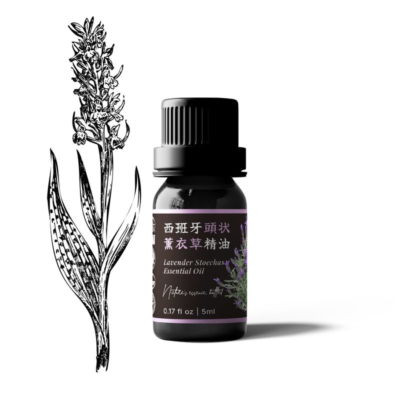 【卡佛香】西班牙头状薰衣草精油 - 香薰/精油/线香 - 玻璃 黑色