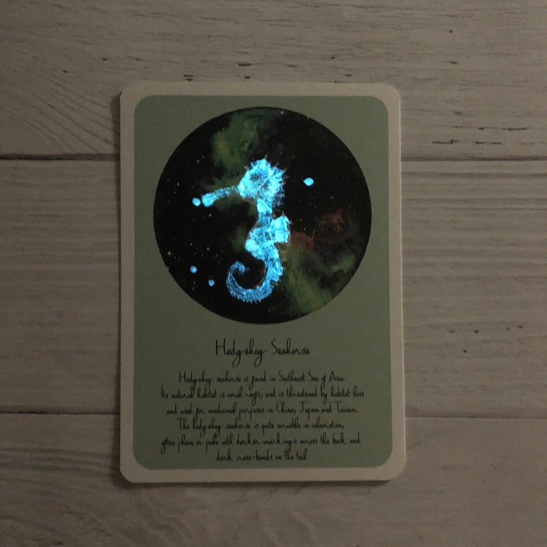 棘海马 星空明信片 (萤光) - 卡片/明信片 - 纸 