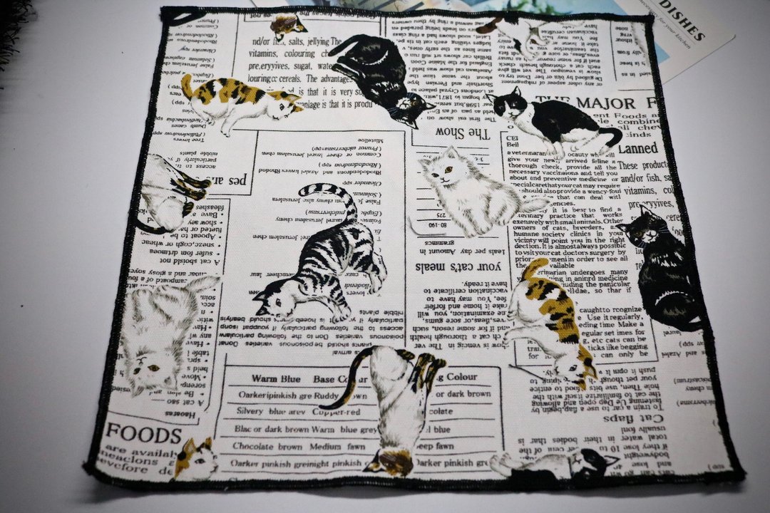 白色雜誌猫口袋巾/型男休閒百搭手帕絲巾 - 手帕/方巾 - 棉 白色