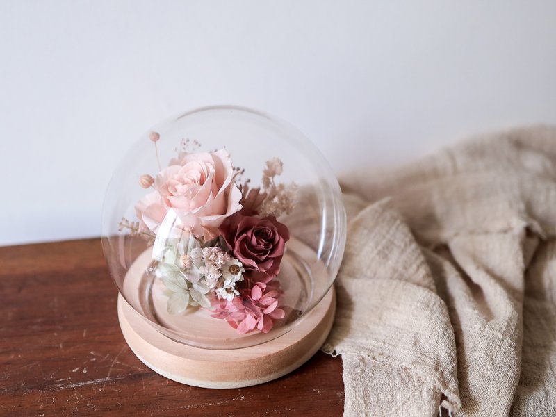 珊瑚粉色12cm不凋花玻璃盅 永生花盅罩干燥花礼 生日 - 干燥花/捧花 - 植物．花 粉红色