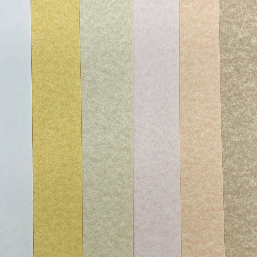 Lorenzo Parchment 羊皮纹 A4 Paper 220gsm - A - 其他 - 纸 