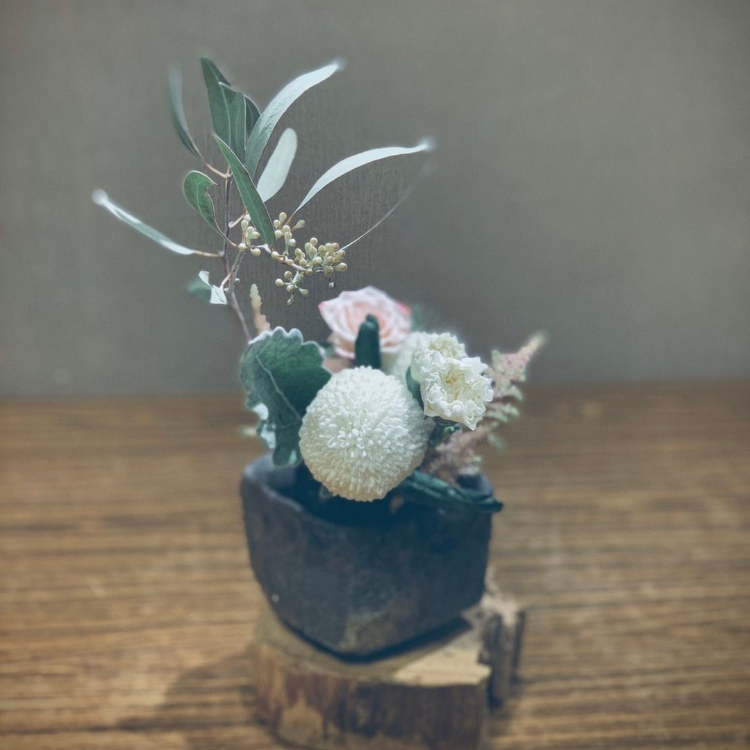 【植日生周记】小雪节气造型花 - 植栽 - 植物．花 