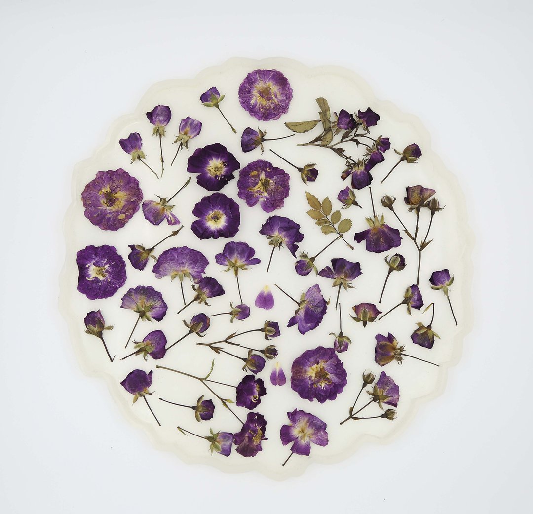 dried pressed flowers for creativity - 植栽 - 植物．花 紫色