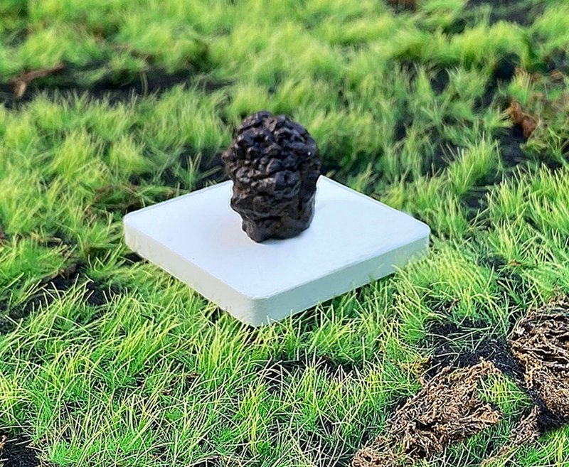 天然埃及预言石造型原矿 心灵平静石 平抚情绪 快速出货 - 摆饰 - 水晶 咖啡色