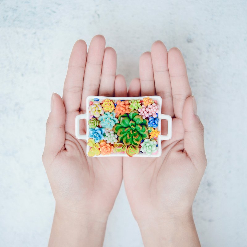 手作黏土迷你多肉植物--双耳方型 succulent plants - 摆饰 - 粘土 多色