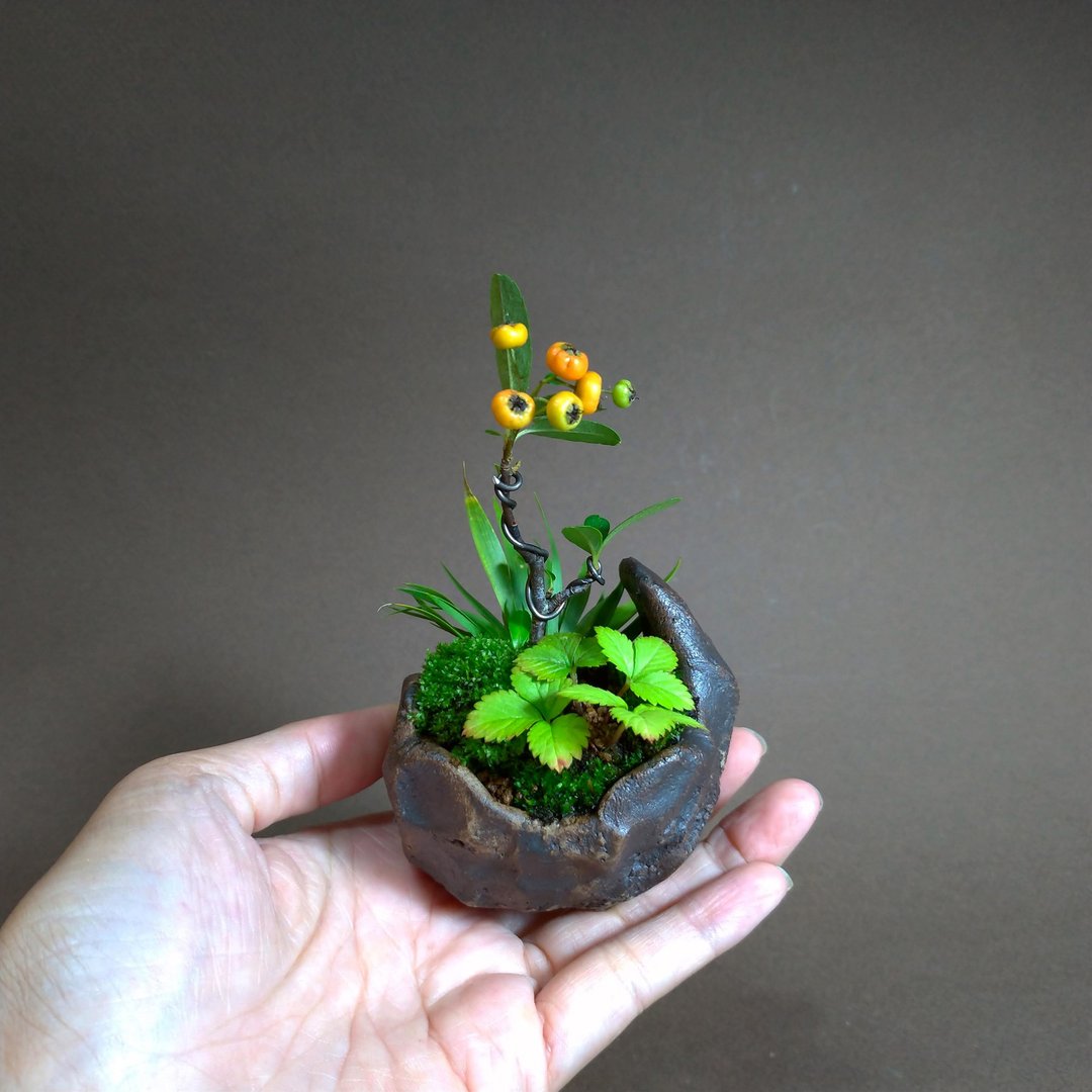 红果状元红∣千岛石菖蒲∣手捏鞍马盆 微景观疗愈盆栽植栽 - 植栽/盆栽 - 陶 