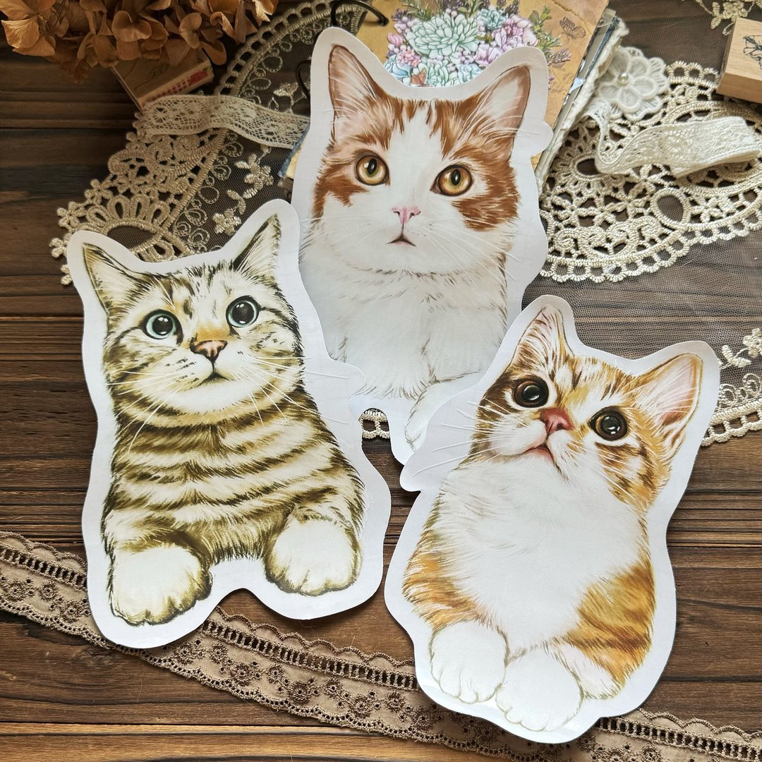 可定制 · 猫咪日常 Cats Daily/透明防水贴纸/壁贴/挂勾装饰贴纸 - 贴纸 - 防水材质 
