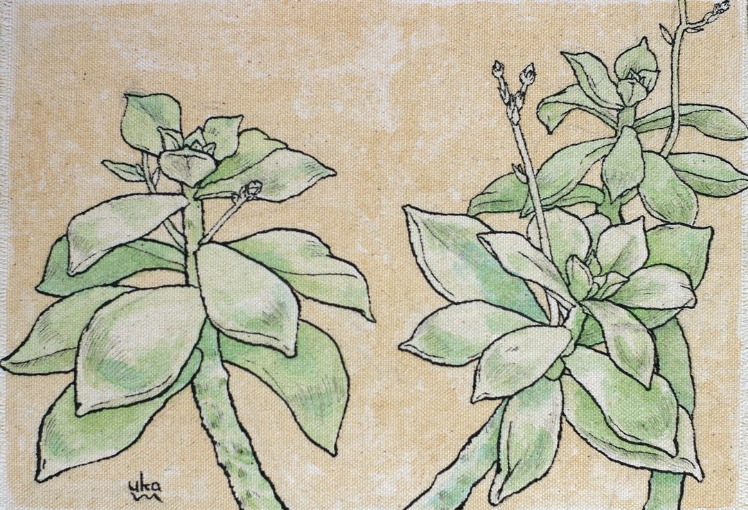 succulent original painting - 画框/相框 - 棉 绿色
