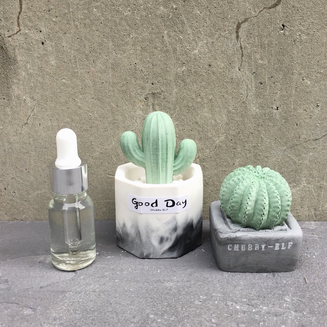 仙人掌香石组合+香精10ml - 香薰/精油/线香 - 其他材质 绿色