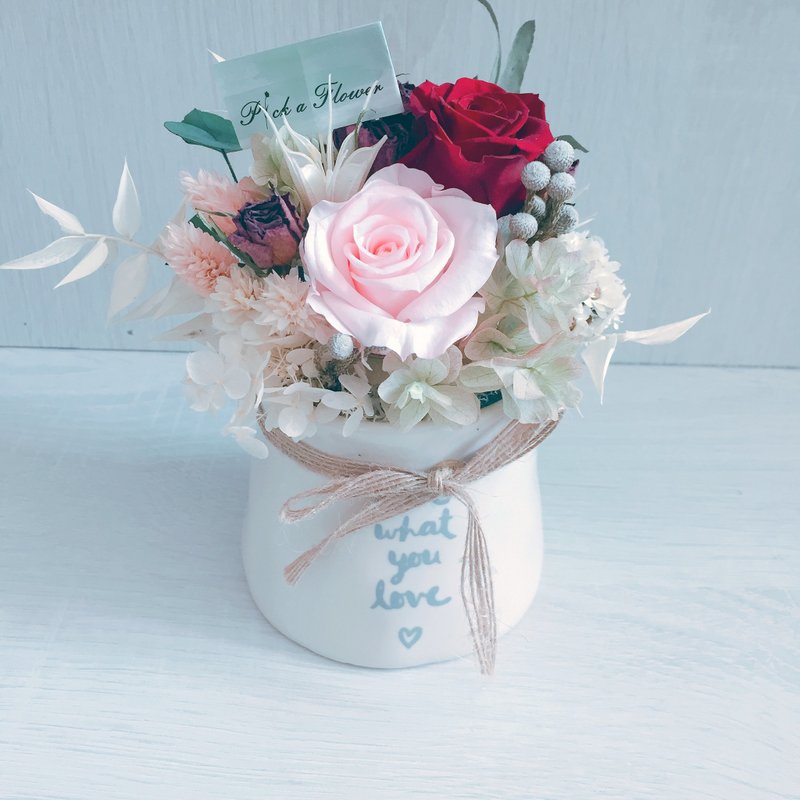 爱你所爱 玫瑰永生花礼 情人节礼物 - 植栽/盆栽 - 植物．花 粉红色