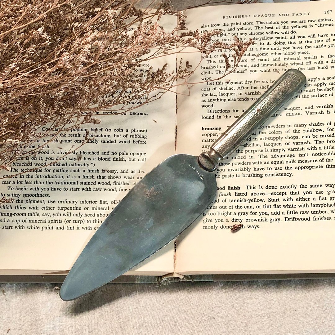 Antique 美国1930年制镀银蛋糕铲 cake server - 餐刀/叉/匙组合 - 银 