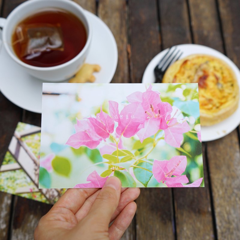 依然美好- 明信片 - 卡片/明信片 - 纸 粉红色