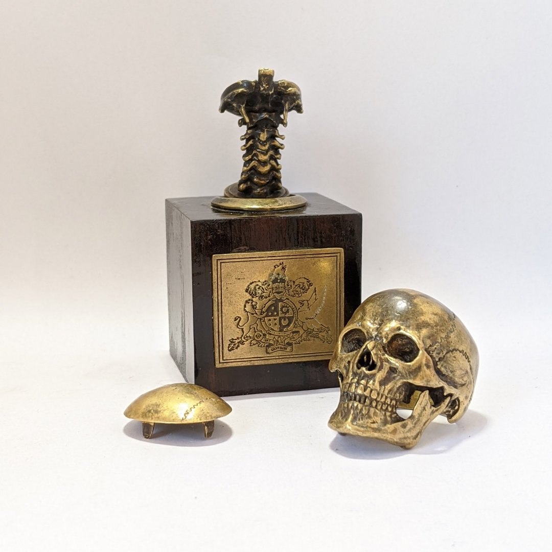 GRYPHON Anatomical Skull Ring A by GRYPHON - 戒指 - 铜/黄铜 金色