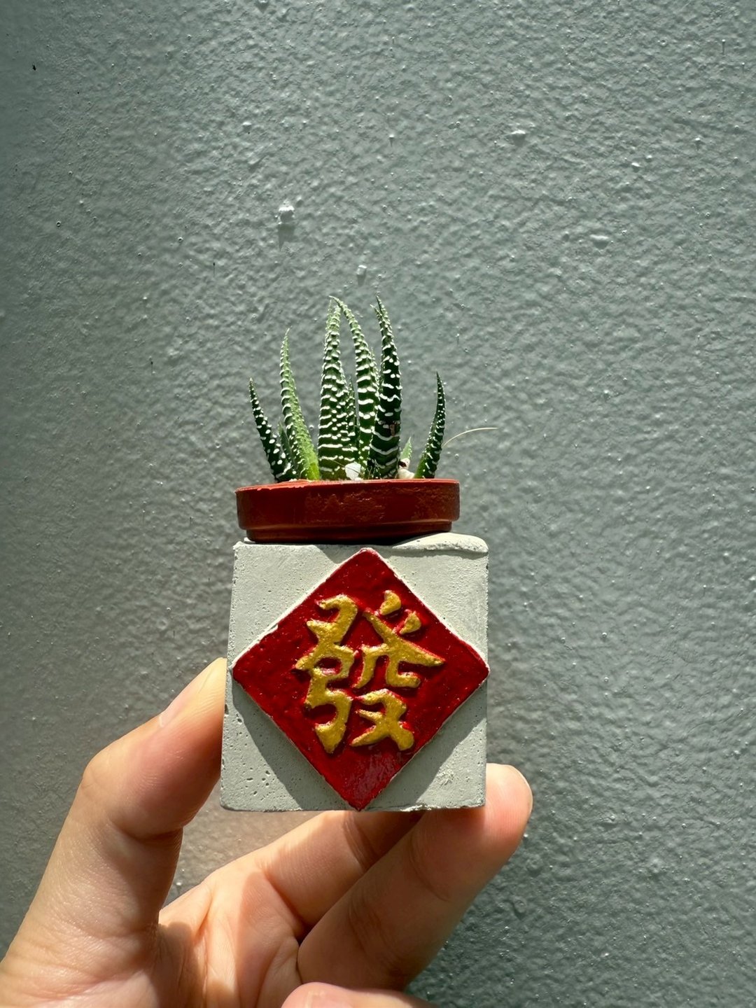 发  红通通!! 新年磁铁盆栽 送多肉 - 植栽/盆栽 - 水泥 红色