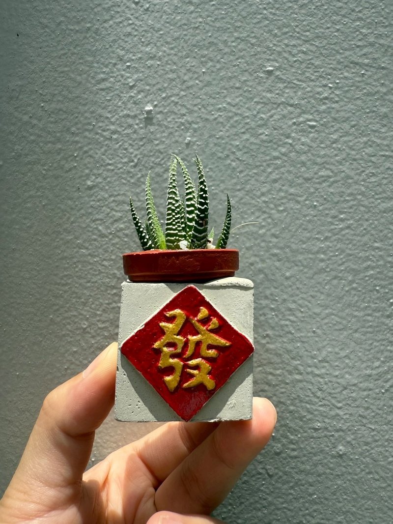 发  红通通!!新年磁铁盆栽 送多肉 - 植栽/盆栽 - 水泥 红色