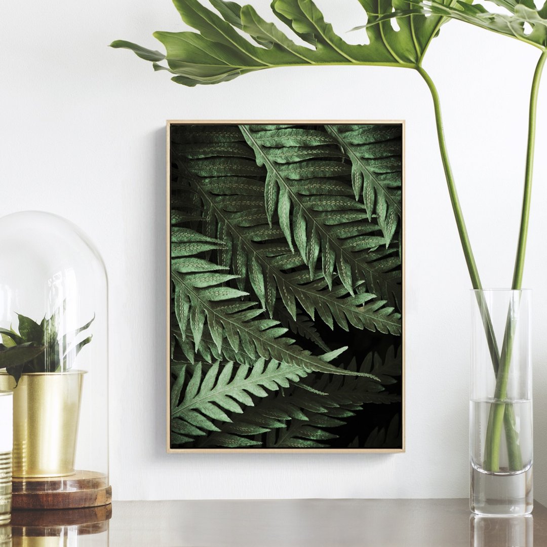蔓蔓日茂－北欧风植物摄影挂画/绿意蕨类画作/绿色/客厅装饰画 - 海报/装饰画/版画 - 棉 多色