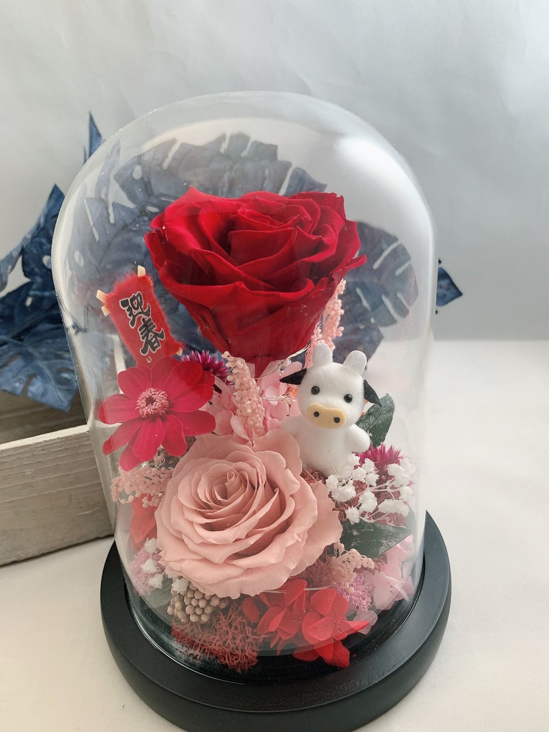新年商品 永生花盅 厄瓜多尔尔大玫瑰 - 干燥花/捧花 - 植物．花 红色