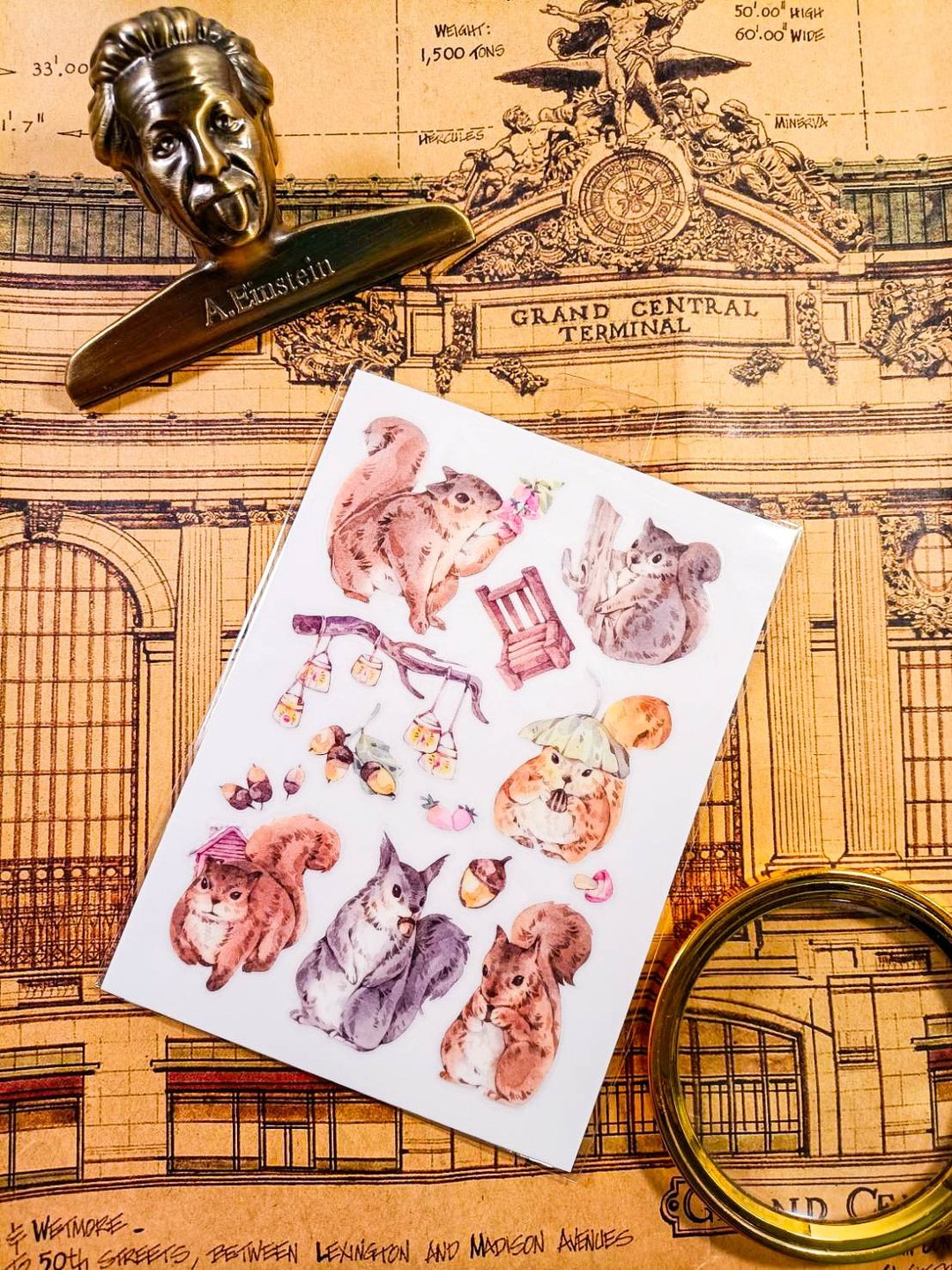 KR521_Cute Animals_msquirrel.C / Transfer Stickers /  轉印貼 - 贴纸 - 塑料 