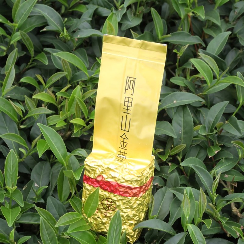 【天下第一好茶】阿里山金萱茶 - 奶香浓郁 / 茶汤顺滑 - 茶 - 其他材质 