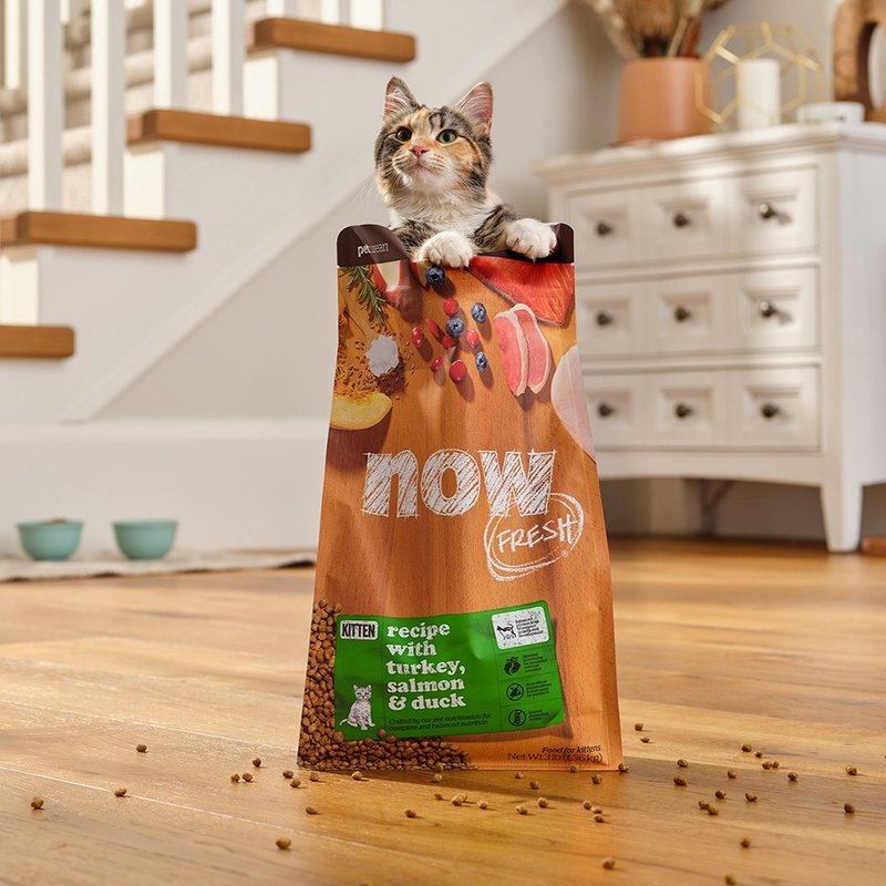 【猫主食】now 鲜肉无谷 幼猫配方 天然粮 饲料 猫粮 室内猫 - 猫罐头/鲜食 - 新鲜食材 橘色