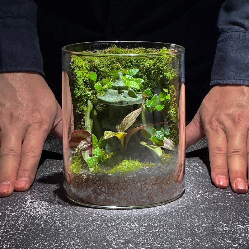 晚灯照影 / 主题性定制化造景生态缸 - 植栽/盆栽 - 植物．花 