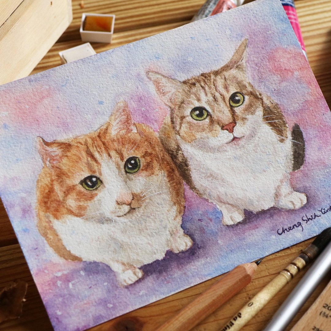 郑老猫 7寸定制手绘水彩宠物画 独一无二的毛孩 礼物 纪念 - 订制画像 - 纸 