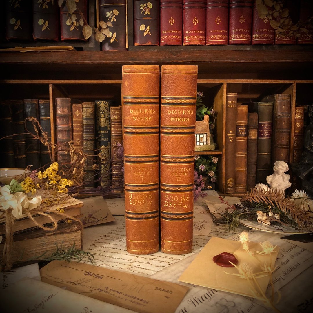 英国1874出版百年Charles Dickens匹克威克外传完整1-2集 - 刊物/书籍 - 纸 粉红色