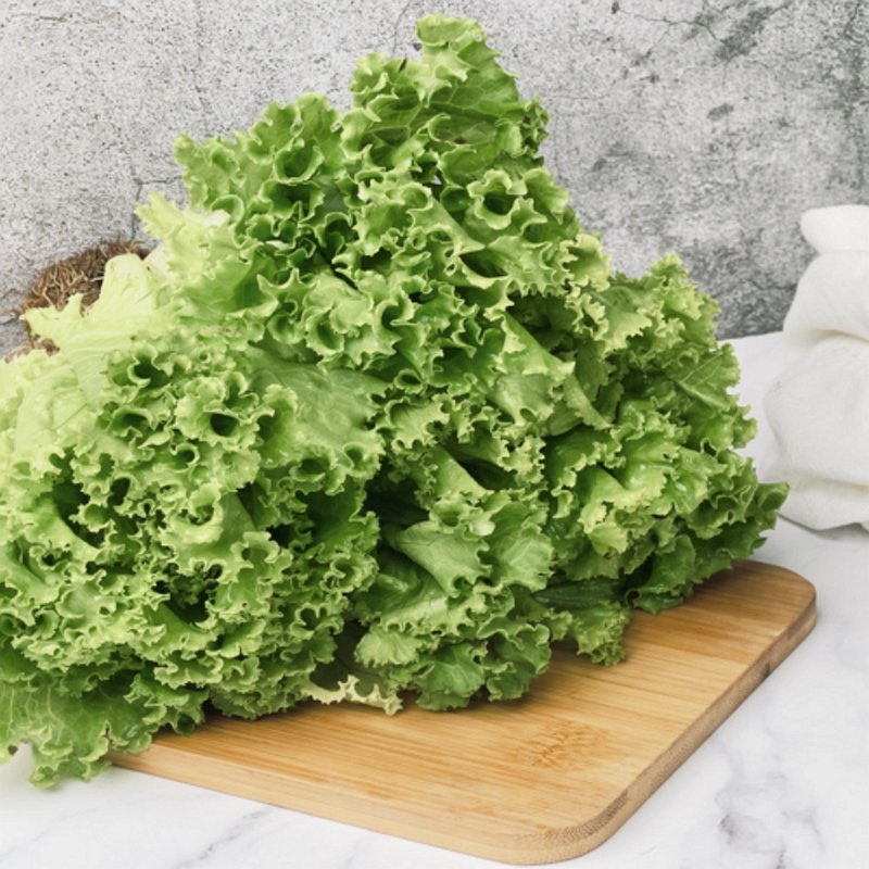 【绿十水耕生菜】绿皱叶150g、生菜、沙拉、莴苣、水耕蔬菜 - 其他 - 新鲜食材 