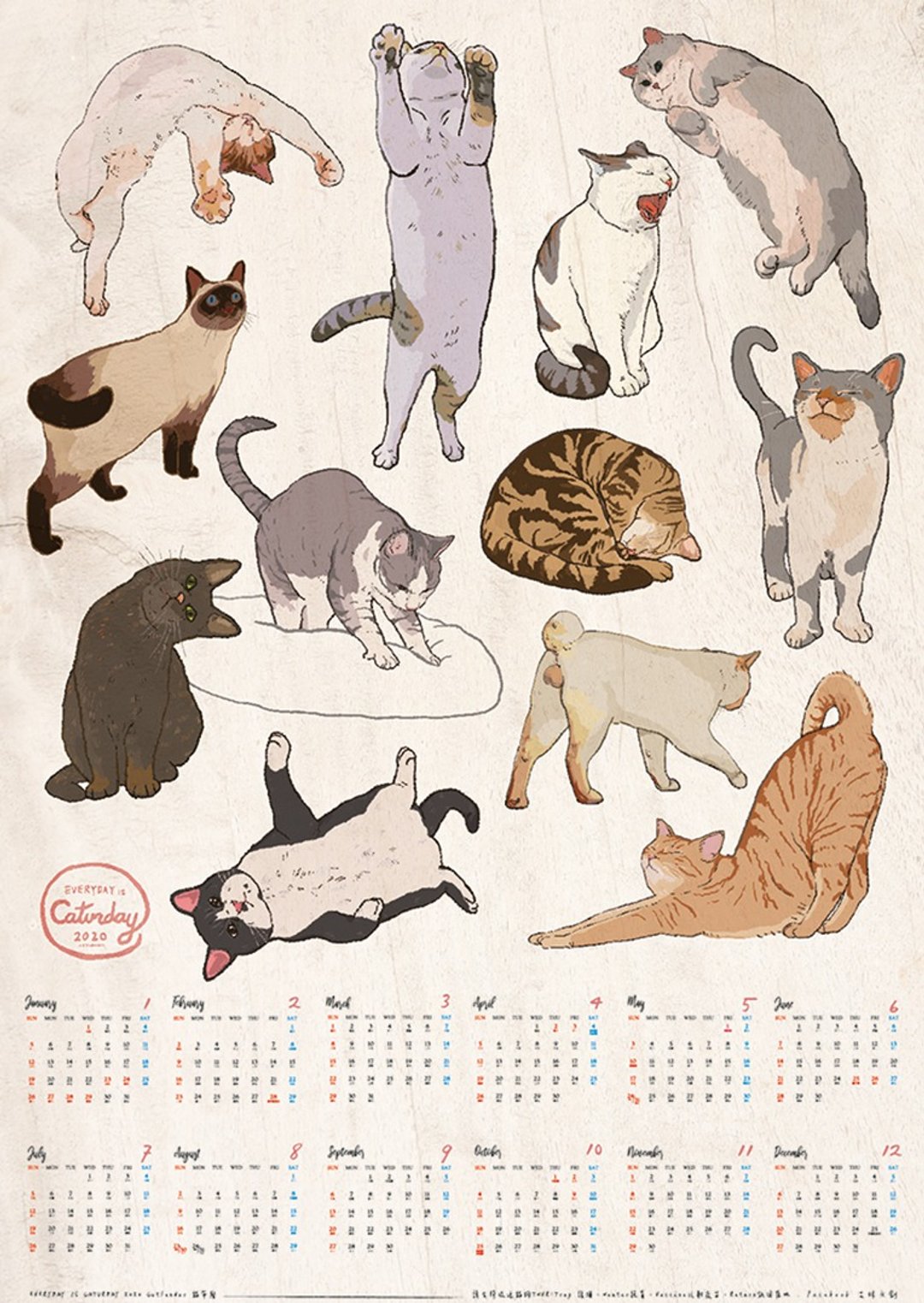 2020 Everyday is caturday 超值组合包 - 年历/台历 - 纸 橘色