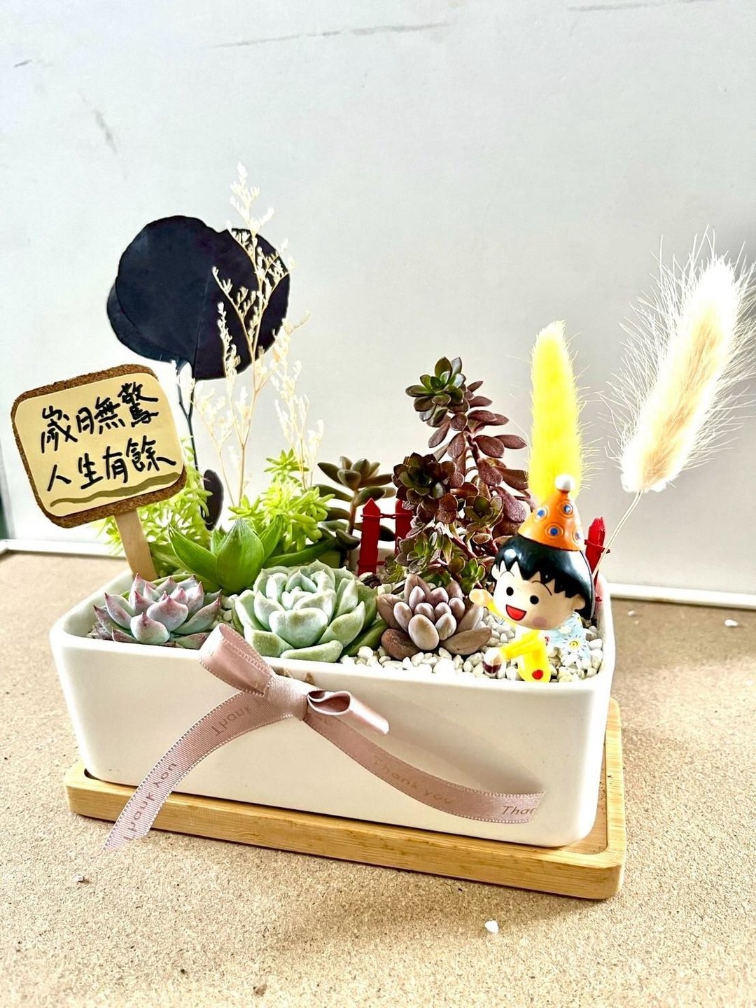 樱桃小丸子ちびまる子ちゃん 日式 多肉组盆 多肉植物 生日小丸子 - 植栽/盆栽 - 植物．花 绿色