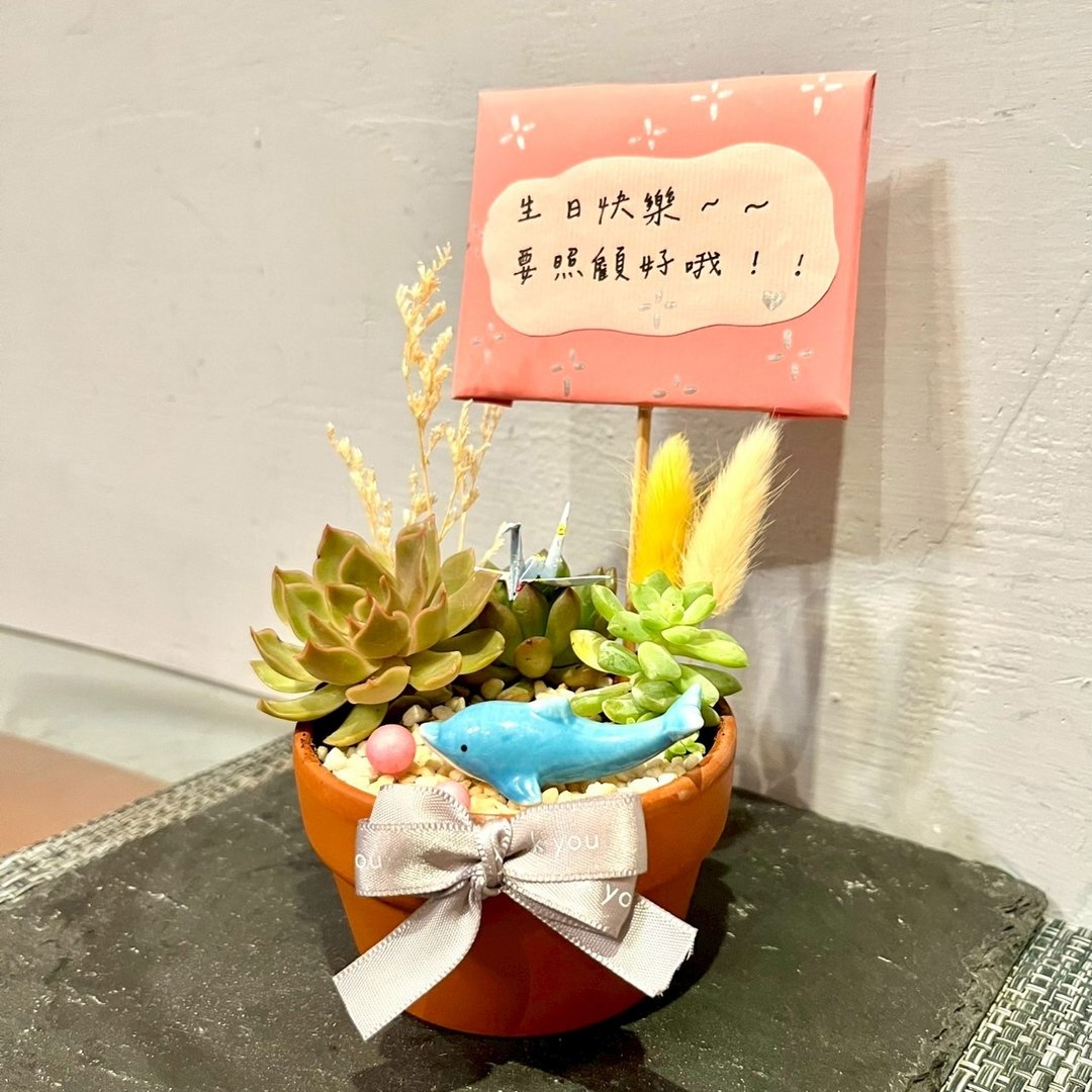 台中多肉组盆 多肉植物 日式枯山水 放松 海豚 疗愈盆栽 海洋礼物 - 植栽/盆栽 - 植物．花 绿色