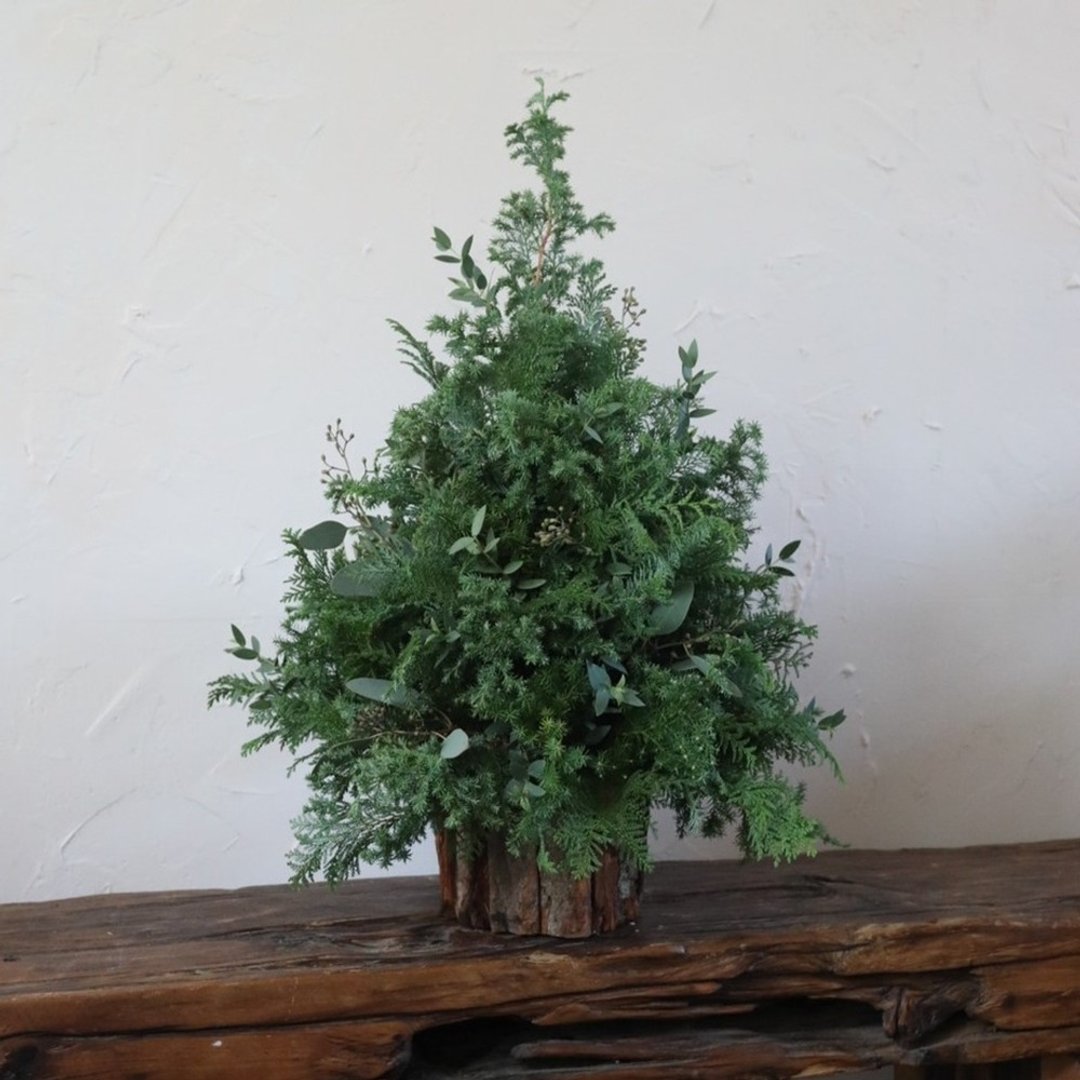 纯粹圣诞树30厘米高-鲜花可干燥 - 摆饰 - 植物．花 绿色