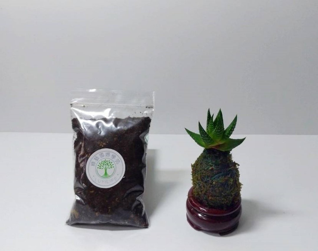 园艺手作介质 苔球 苔玉专用土原材料 - 植栽 - 植物．花 