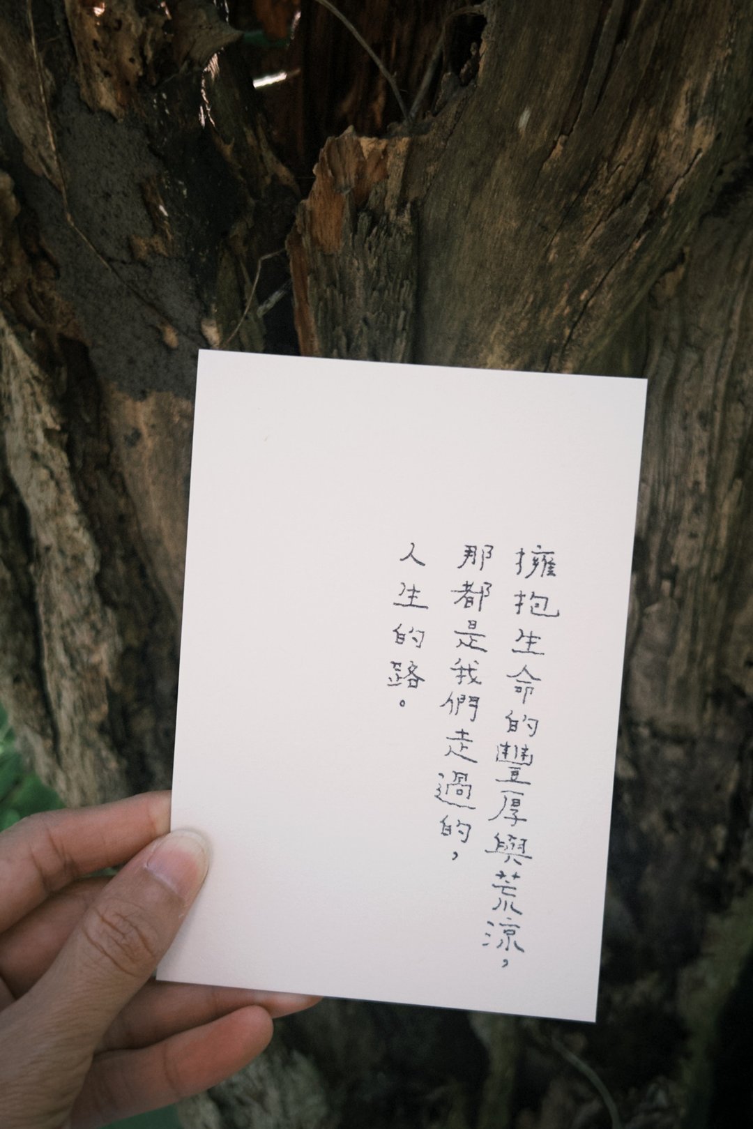 人生的路 青青的岛 文字明信片 - 卡片/明信片 - 纸 