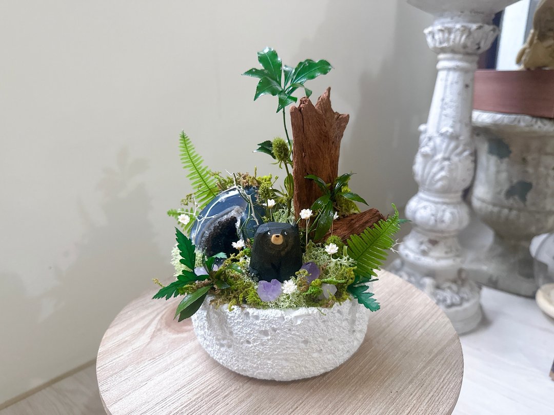 永生 水晶洞 绿植栽。万物苏醒_崭新。永生室内观赏植物 - 植栽/盆栽 - 水晶 绿色