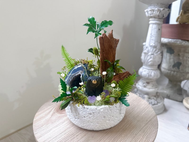 永生 水晶洞 绿植栽。万物苏醒_崭新。永生室内观赏植物 - 植栽/盆栽 - 水晶 绿色