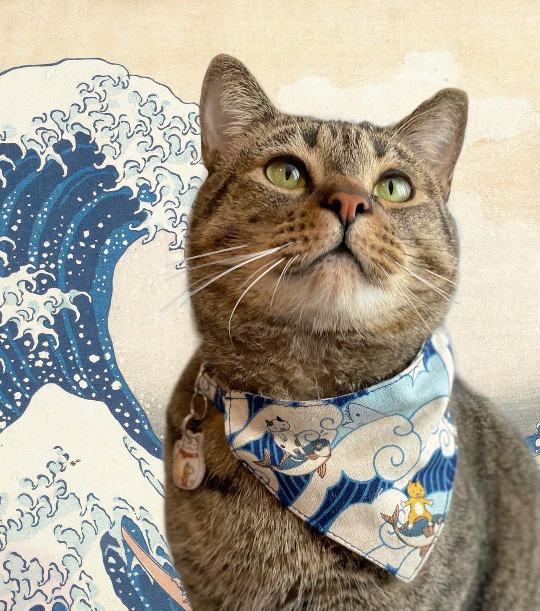 Surfing cat  Bandana Cat Collar with Breakaway Safety Buckle - 项圈/牵绳 - 棉 蓝色