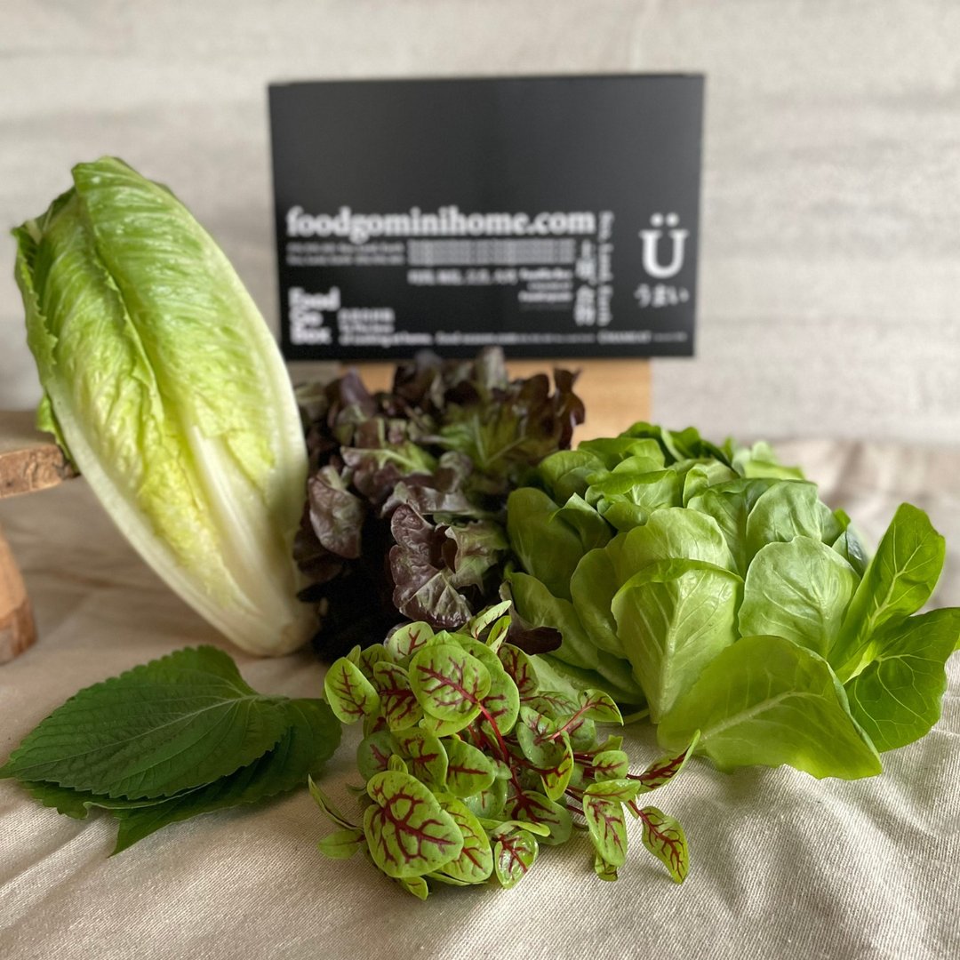 【情人节含运蔬菜箱】烧烤篇+包肉生菜篇 - 美食 - 新鲜食材 