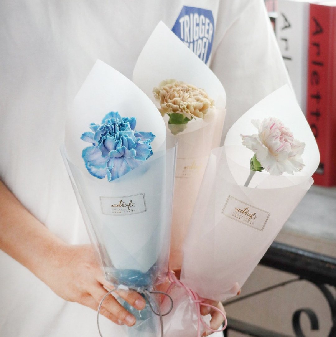 【限到店自取 】马卡龙系单支康乃馨鲜花| 母亲节花束 送礼首选 - 干燥花/捧花 - 植物．花 