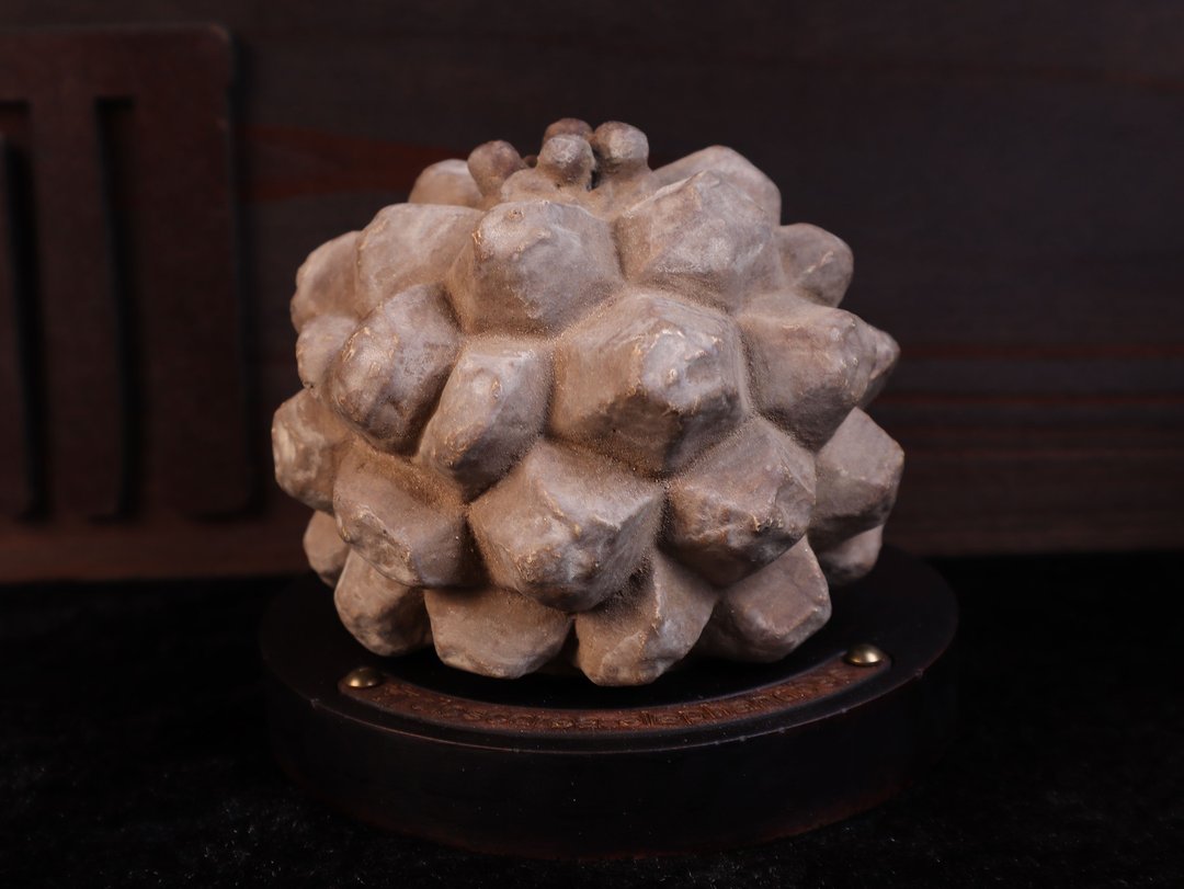龟甲龙(中)无叶/仿生植物/块根/居家摆饰/水泥饰品 - 摆饰 - 水泥 多色