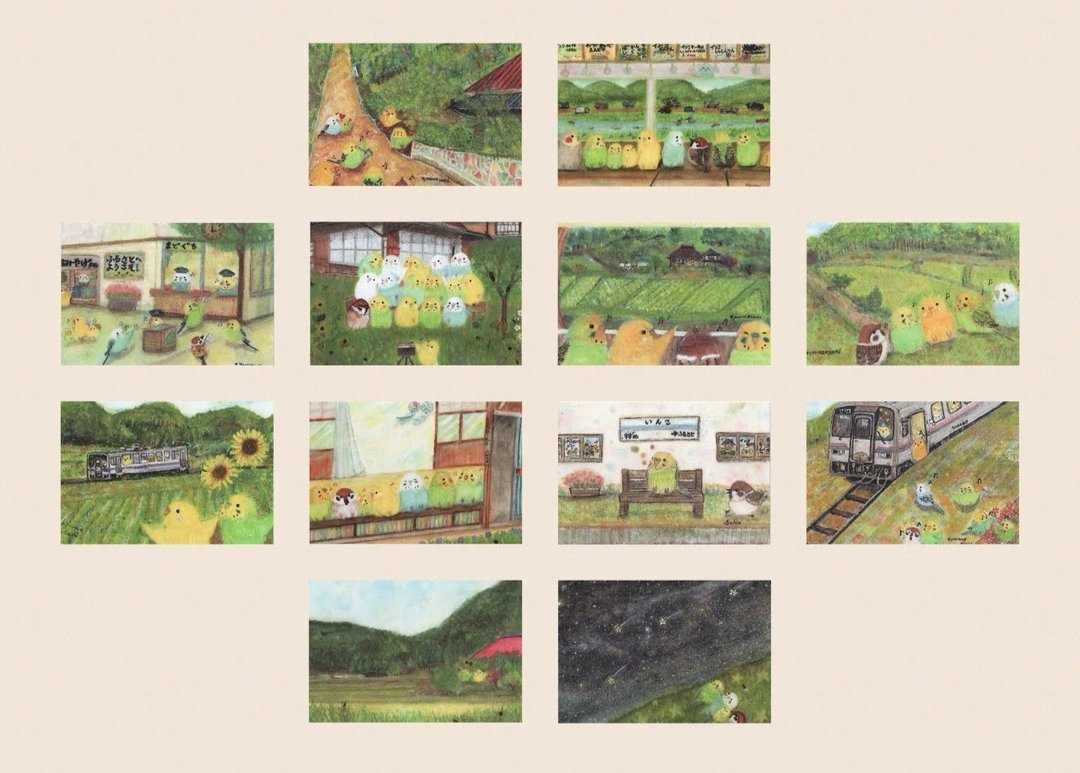鸟类明信片 D 套组 手工制作 - 内含 12 张 - 卡片/明信片 - 纸 多色