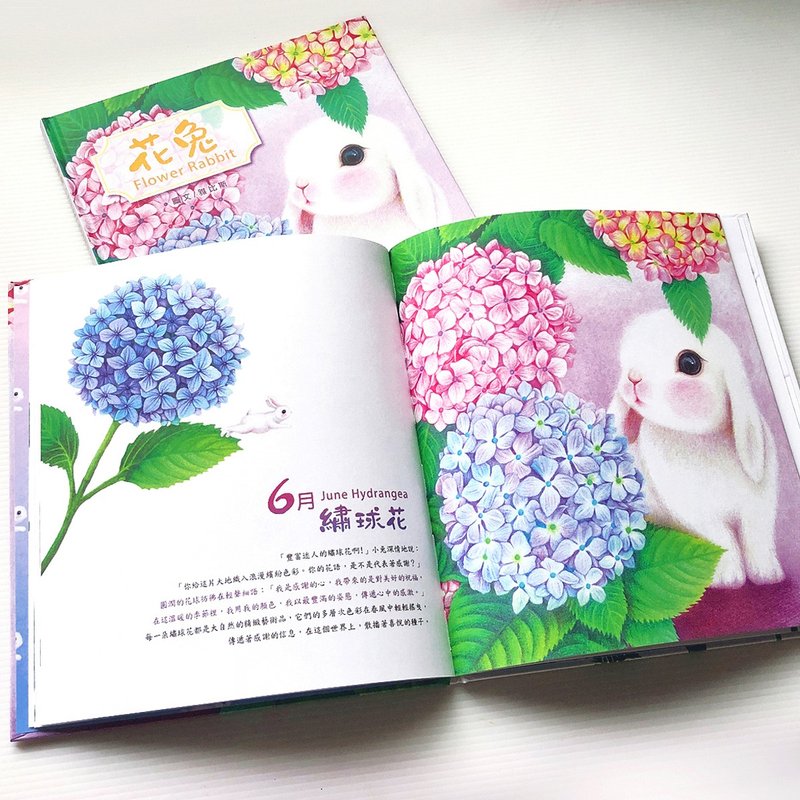 花兔绘本(典藏精选绘本) - 刊物/书籍 - 纸 
