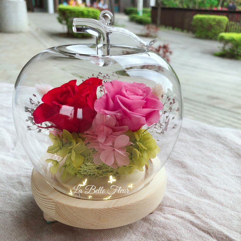 苹果永生花夜灯玻璃盅/生日礼物/结婚礼物 - 干燥花/捧花 - 植物．花 